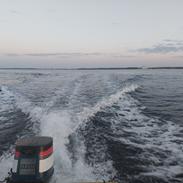Mayland Fisherman