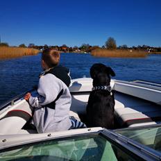 Sea Ray 170 bowrider