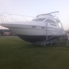 Sealine F36