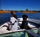 Sea Ray 170 bowrider