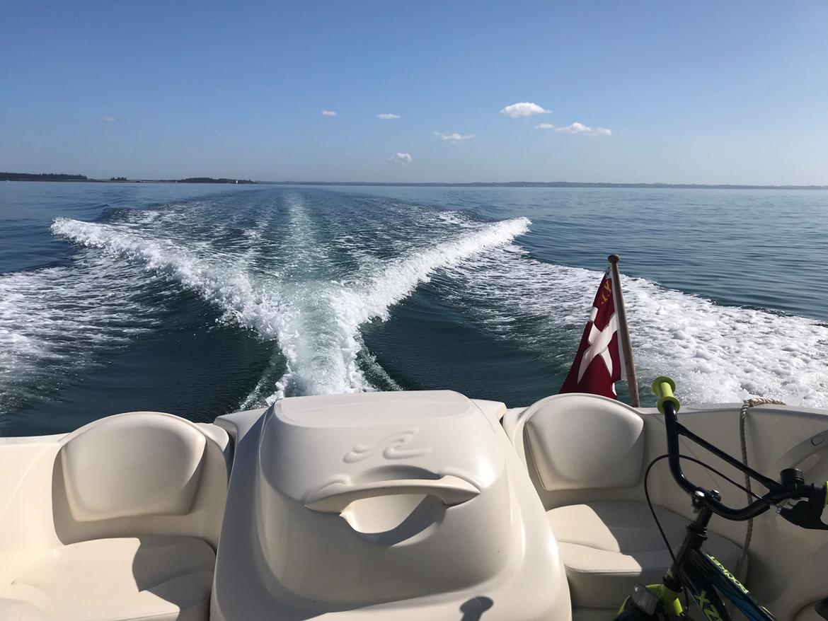 Sea Ray Sport 175 billede 4