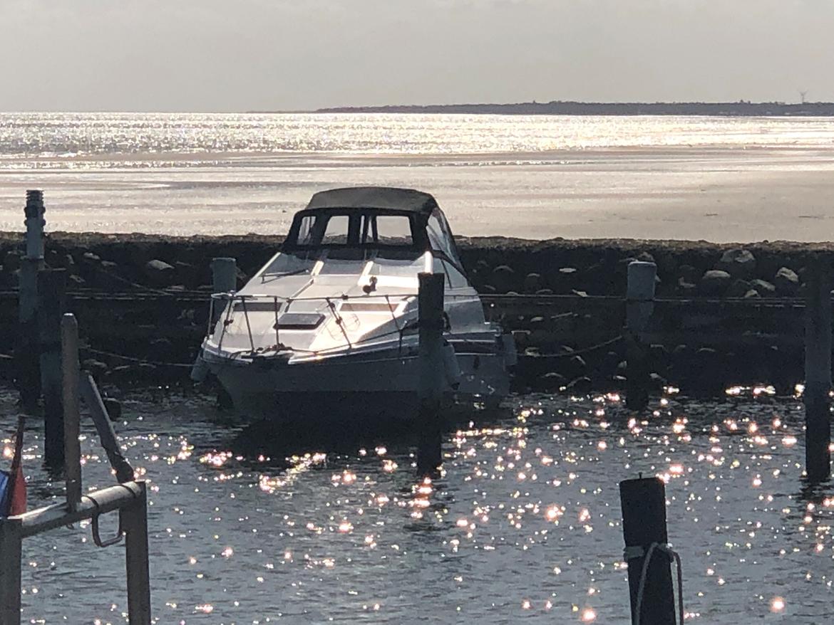 Bayliner 2655 Cierra Sunbridge billede 13