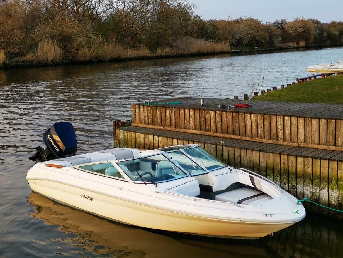 Sea Ray 170 bowrider billede 7