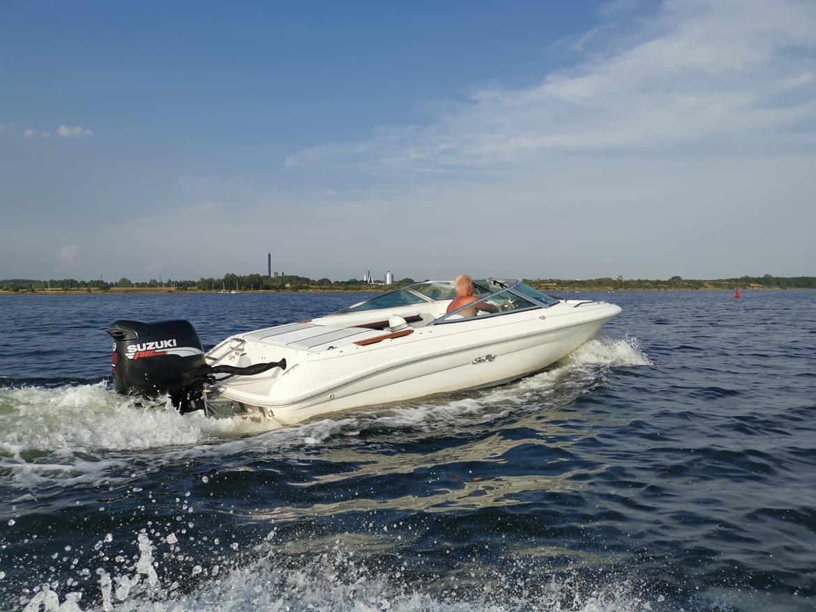 Sea Ray 170 bowrider billede 14