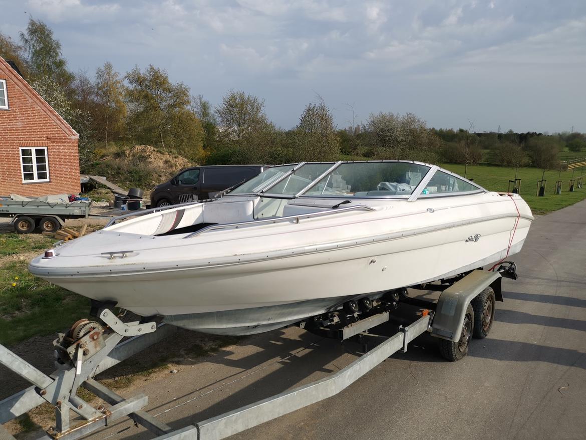 Sea Ray 170 bowrider billede 43