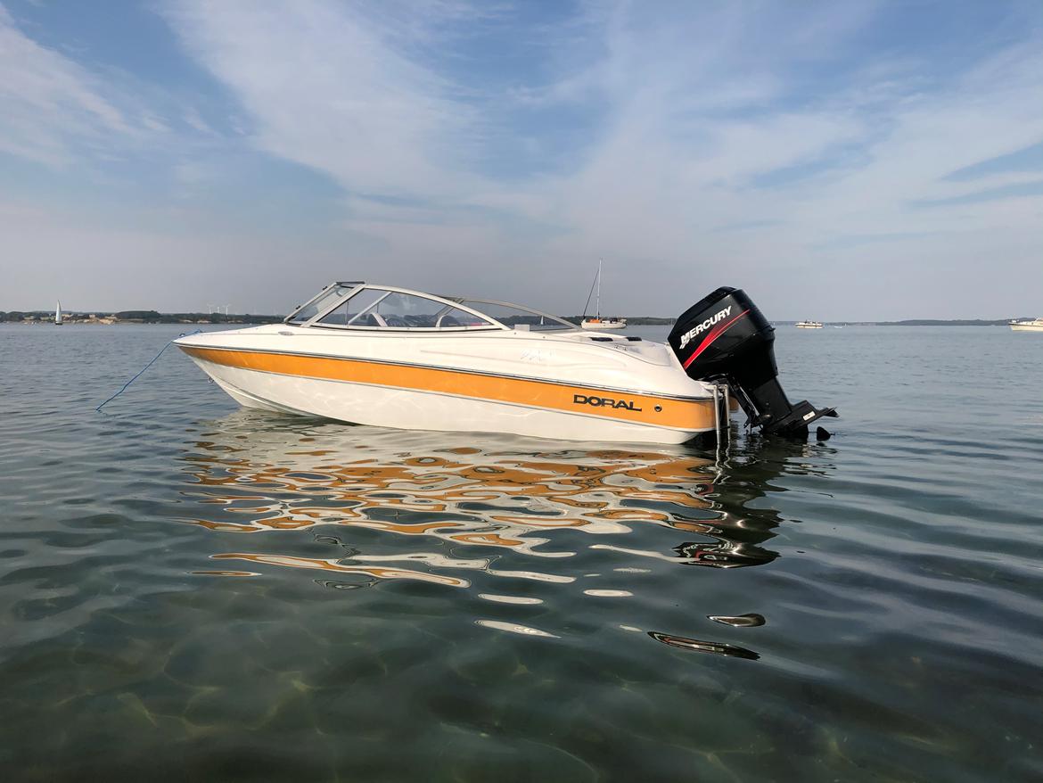 Doral 170 BR Sunquest billede 2