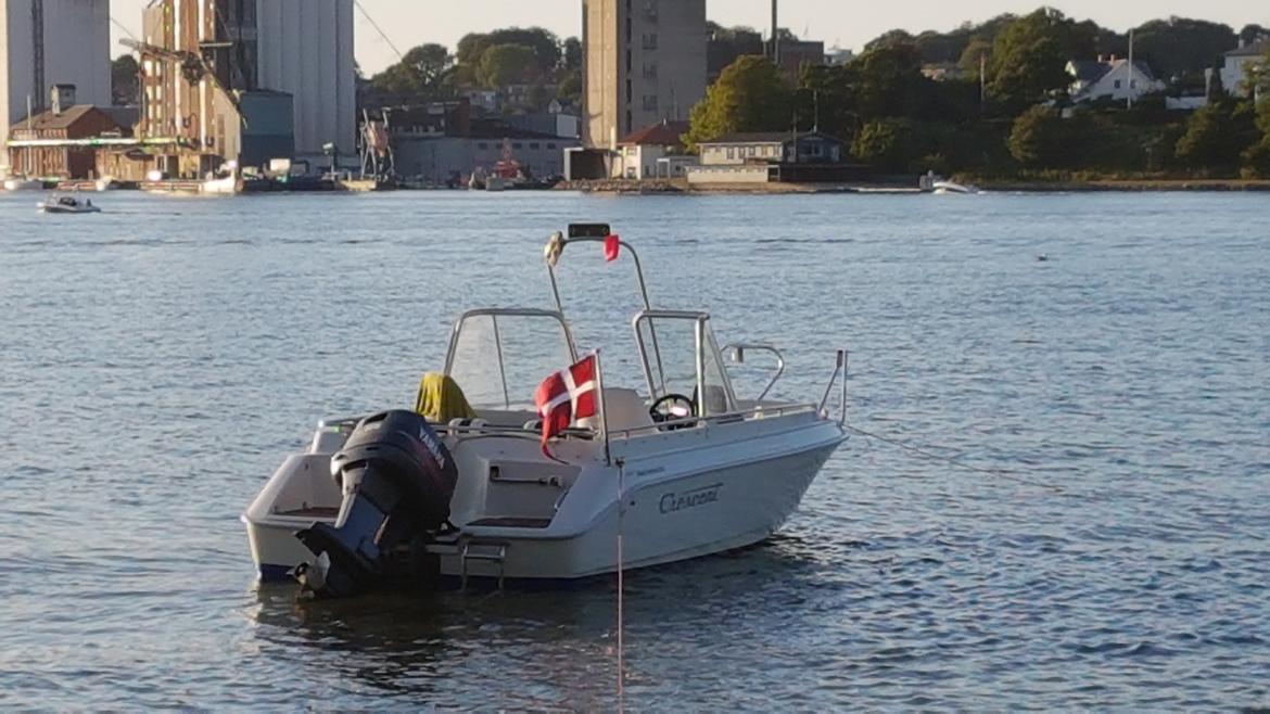 Crescent Dorado 610 billede 3