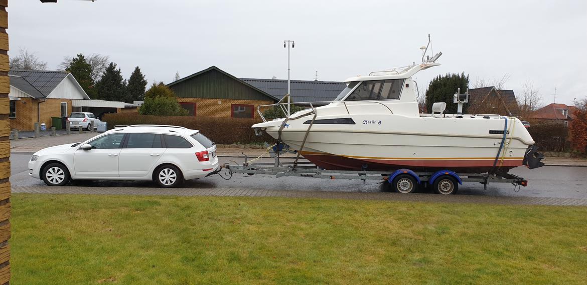 Nauticat Rio 650 Cabin Fish billede 4