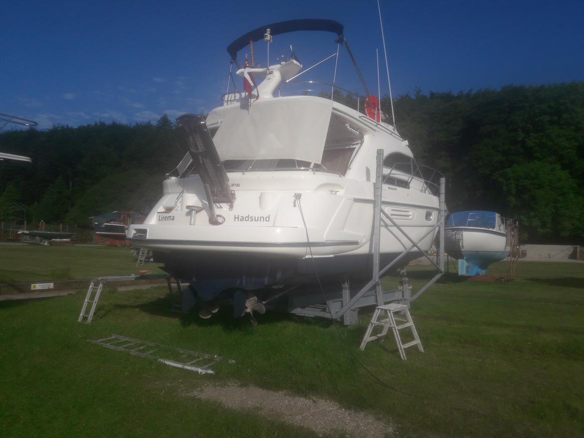 Sealine F36 - ny poleret  billede 1