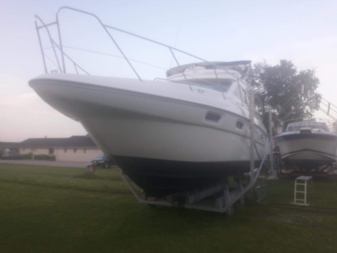 Sealine F36 billede 2
