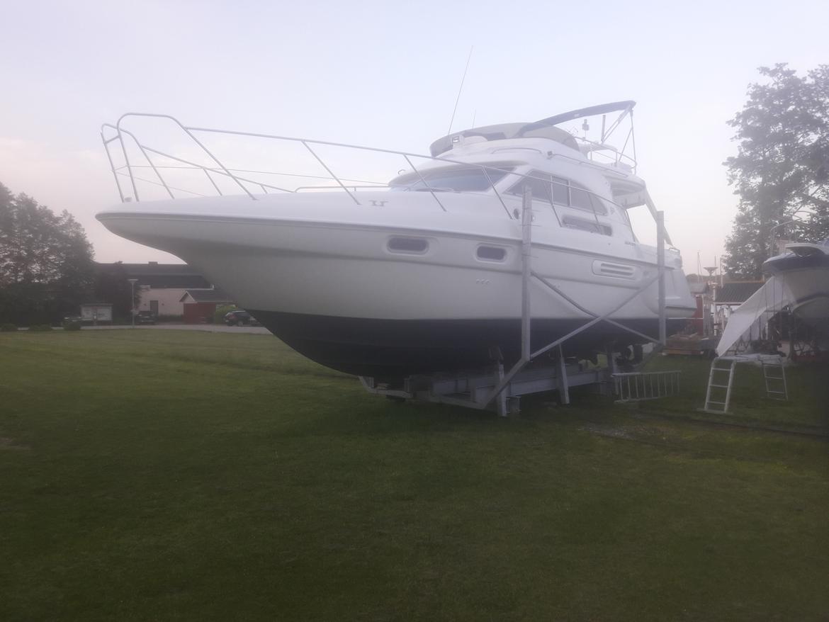 Sealine F36 billede 3