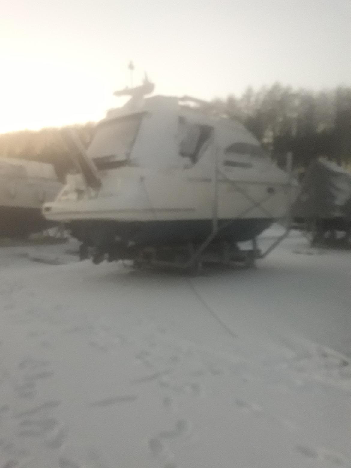 Sealine F36 billede 5