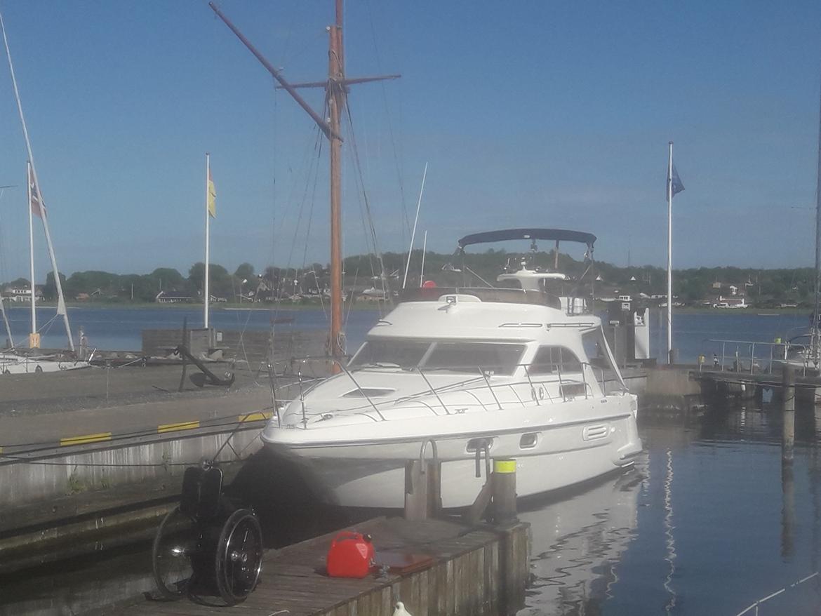 Sealine F36 billede 6