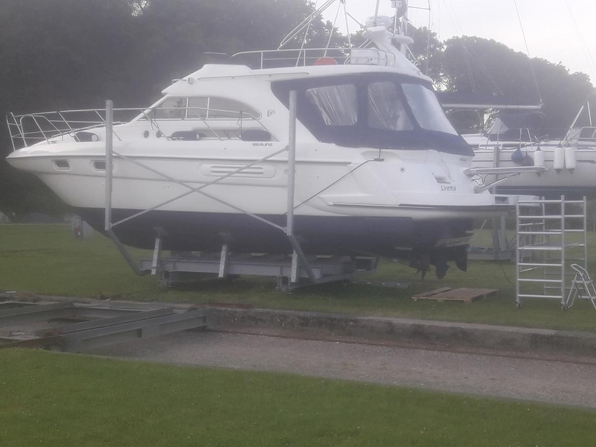 Sealine F36 billede 12