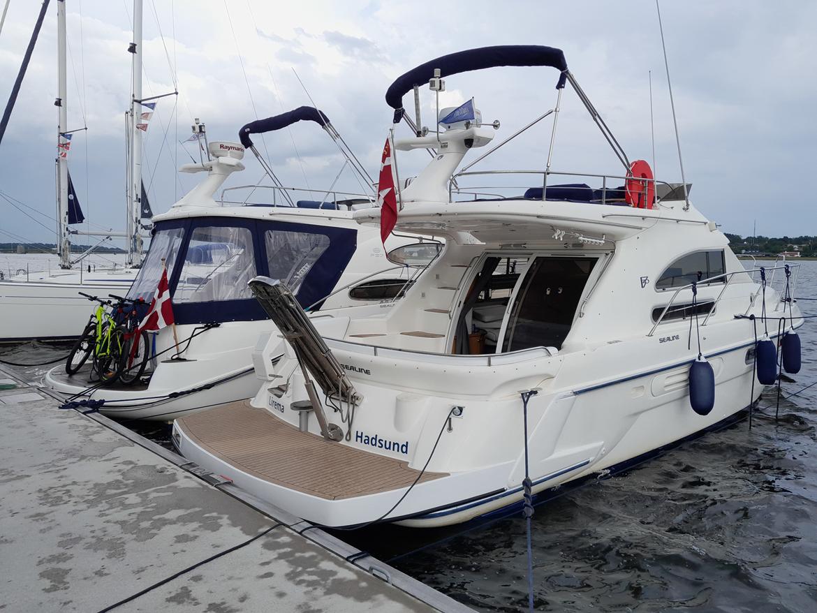 Sealine F36 - færdig med projekt Badeplatform billede 13
