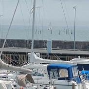 Junker 22