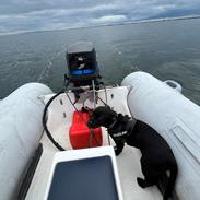 Rib Ab360 rib
