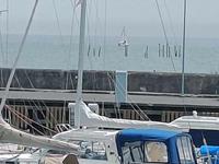 Junker 22