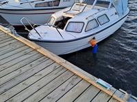 Wiking 21