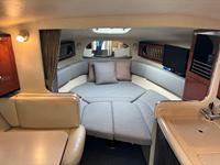 Sea Ray 315