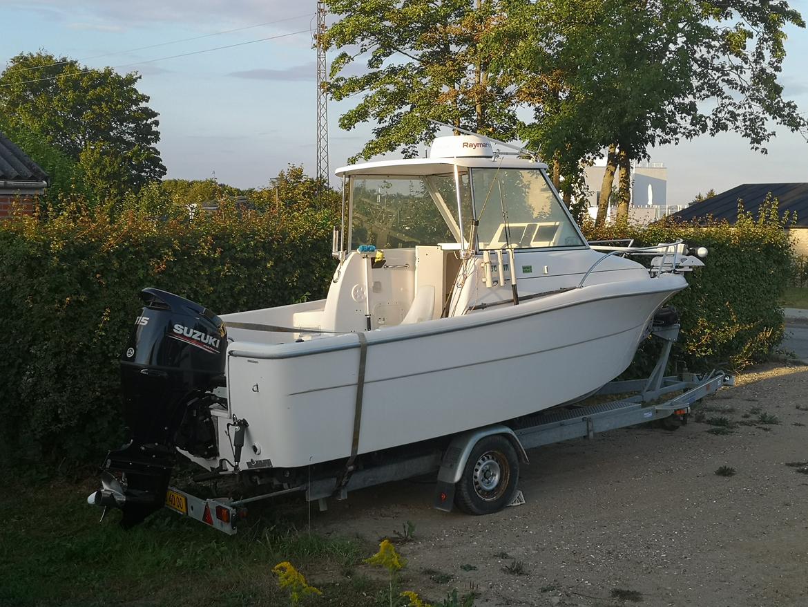 Sessa Marine 550 ph billede 4