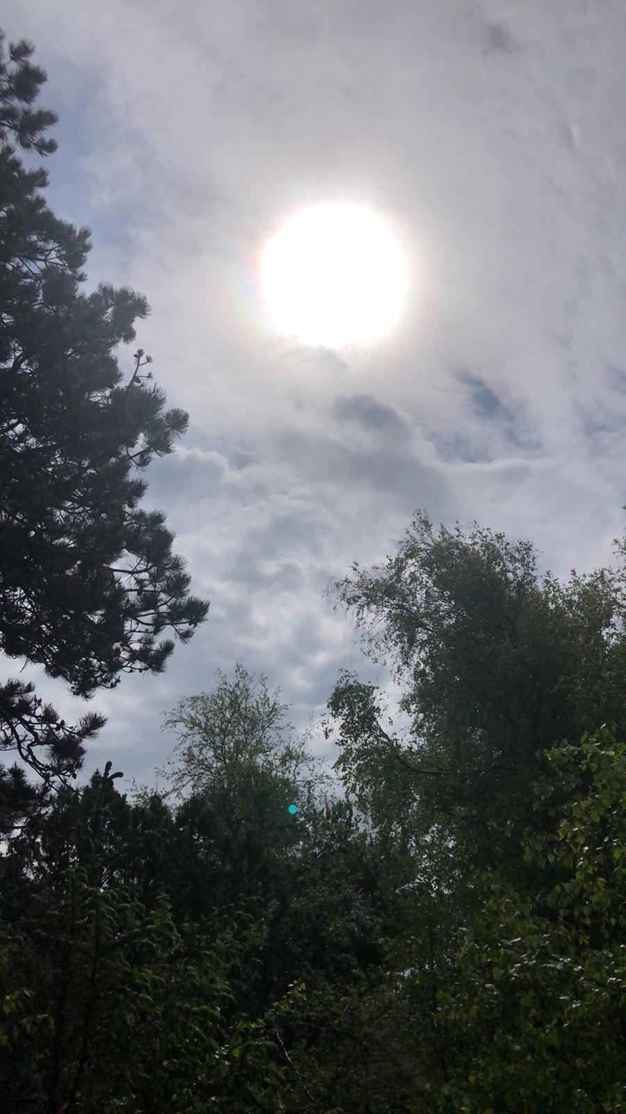 SeaExplorer  420 billede 2