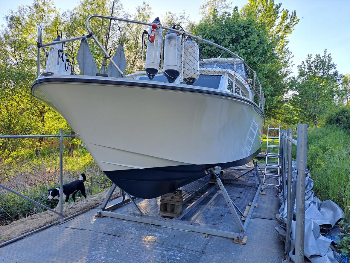 Coronet 31 Seafarer mk3 - Nymalet fra køl til dæk. 2024 billede 5