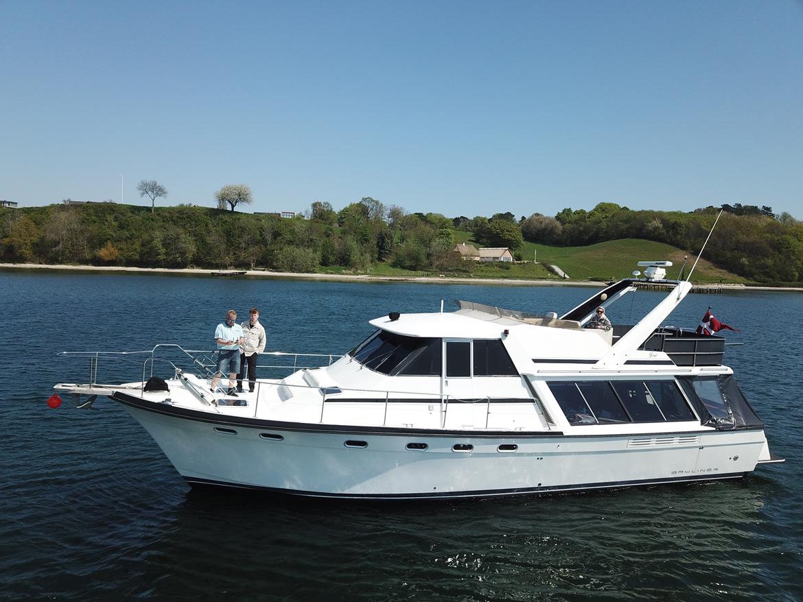 Bayliner 4588 Pilothouse billede 1