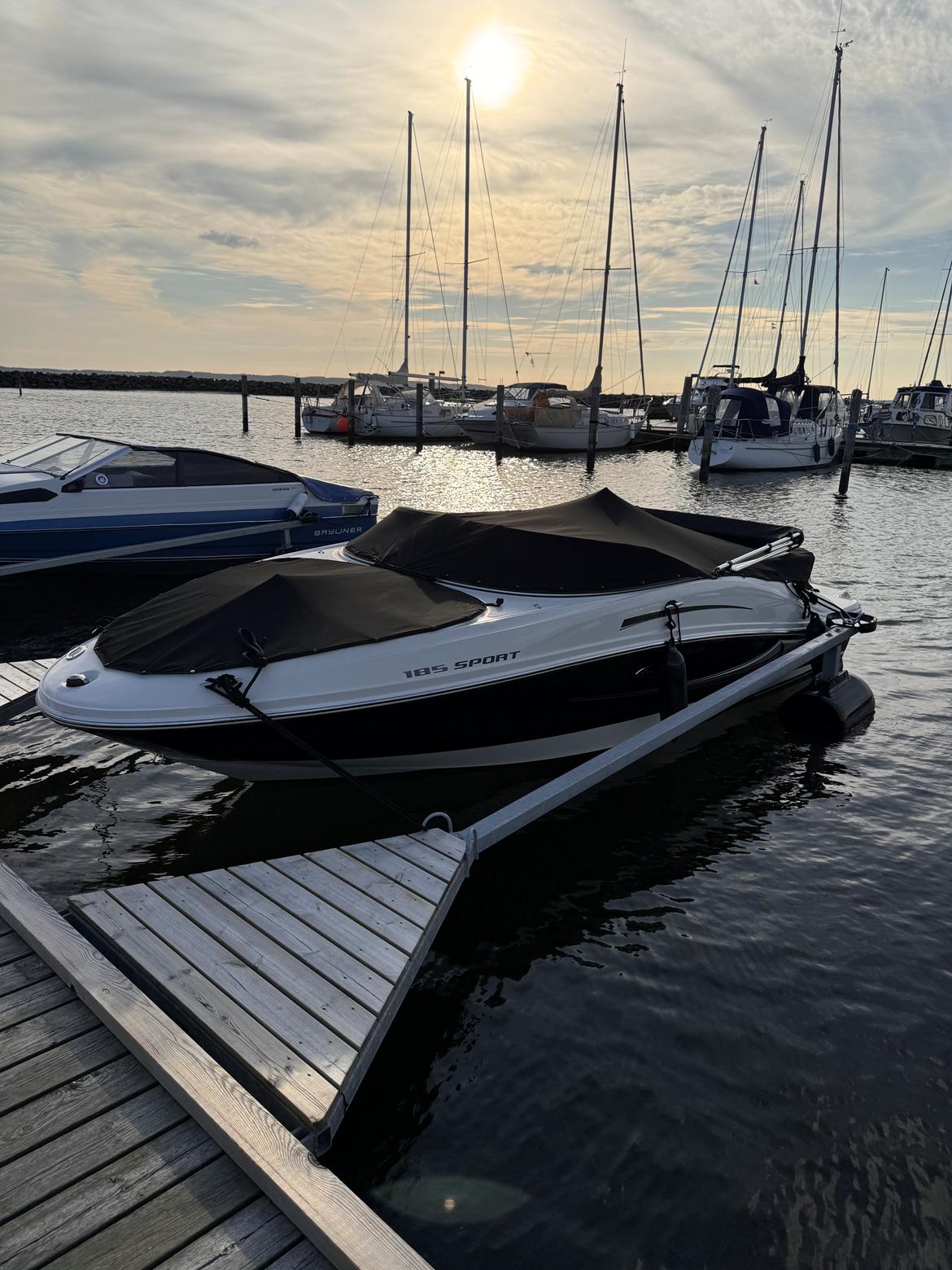 Sea Ray 185 Sport  billede 10