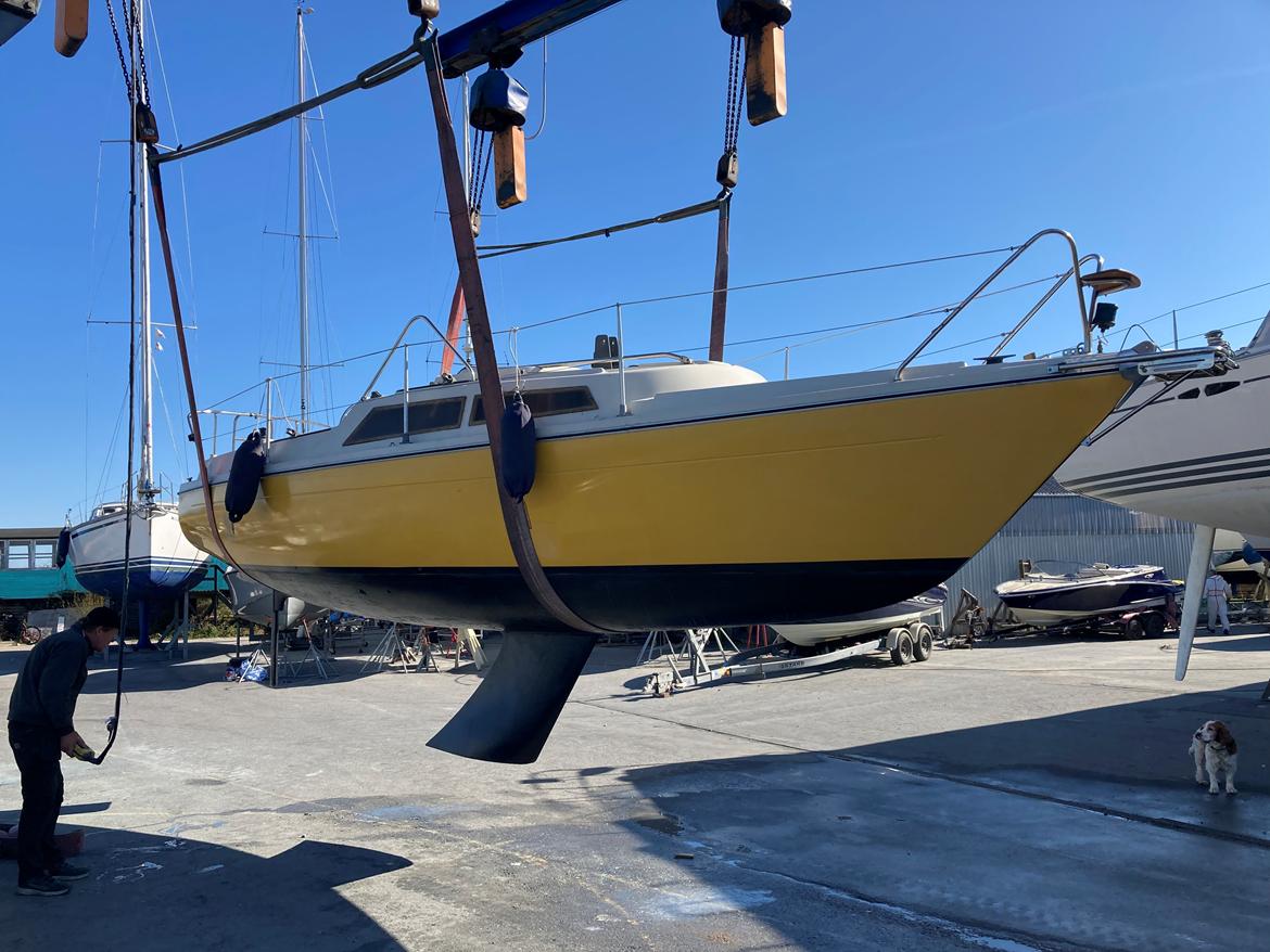 Dehler Delanta 80 billede 4