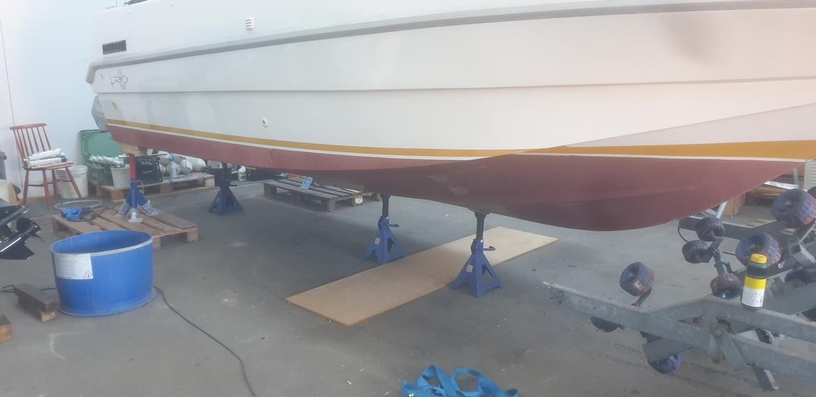 Nauticat Rio 650 Cabin Fish billede 42