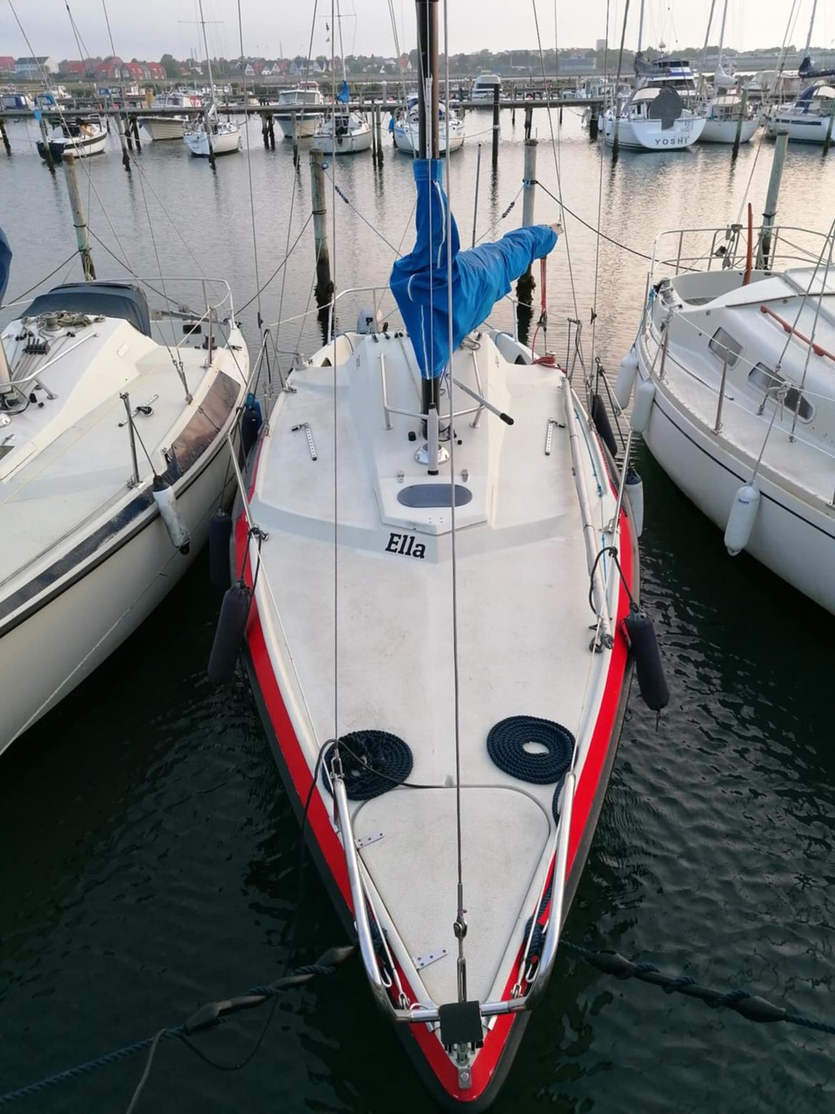 Maxi 77 billede 6