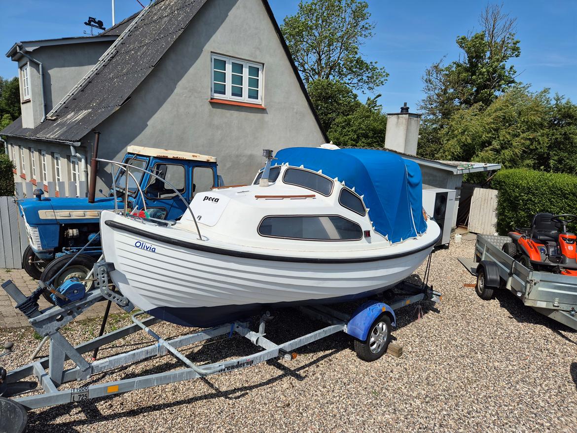 Poca Damjolle billede 1