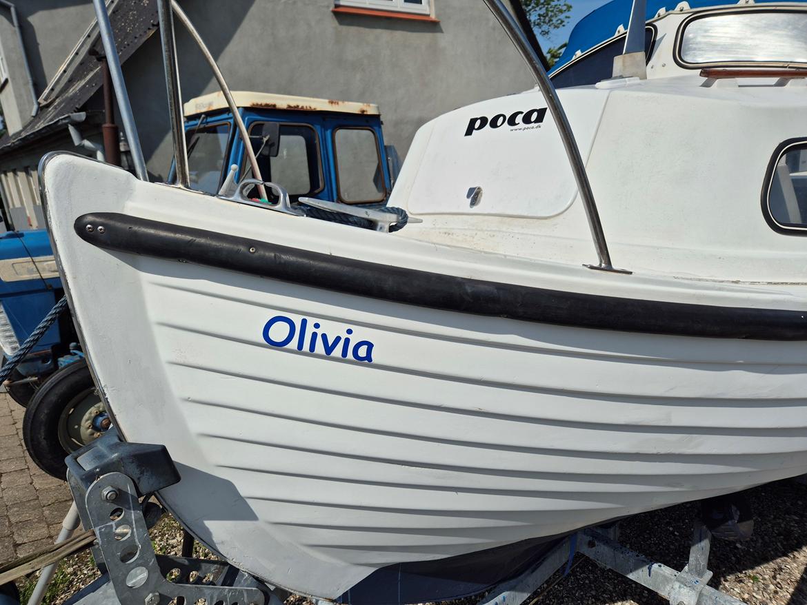 Poca Damjolle billede 4