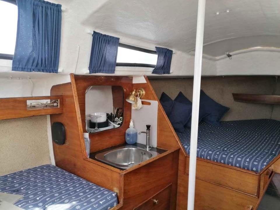 Junker 22 billede 13