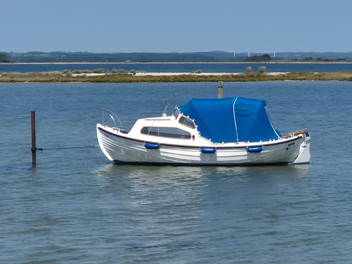 Poca Damjolle billede 13