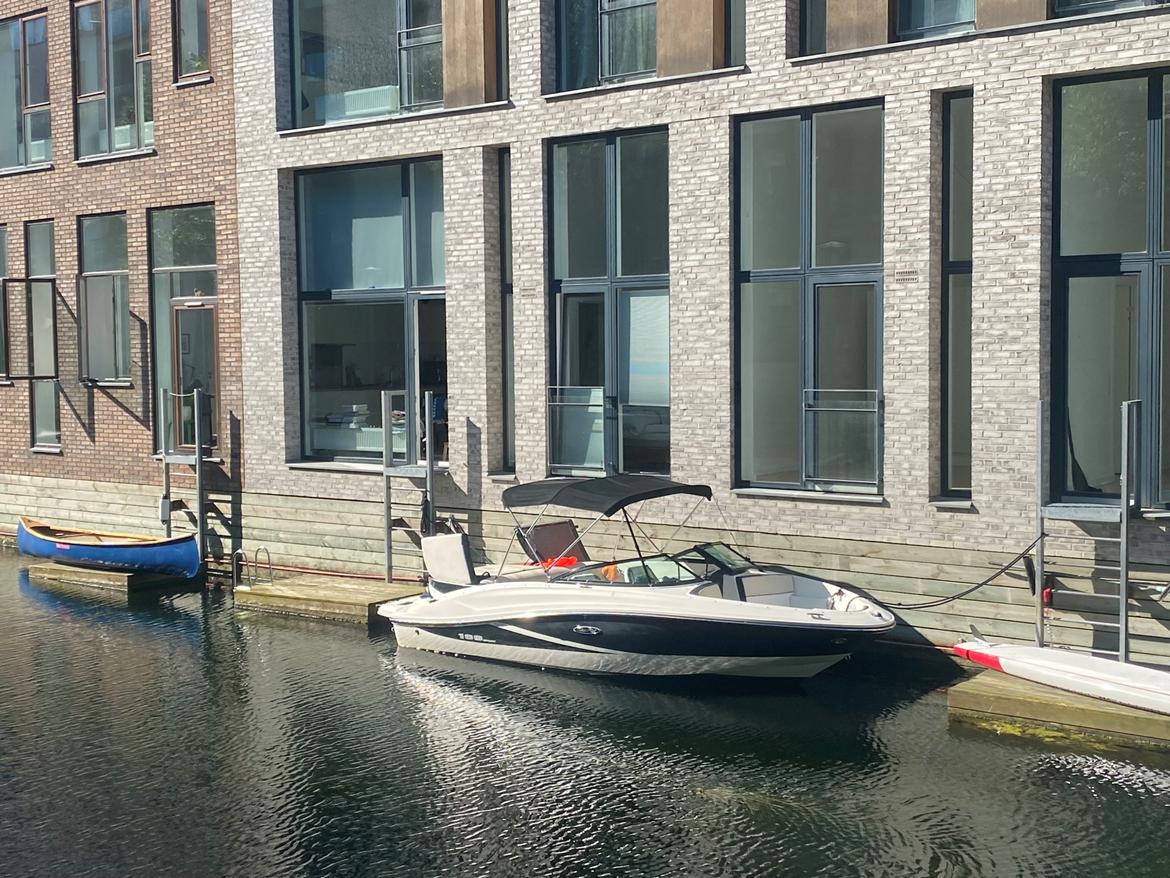 Sea Ray 190 Sport billede 2