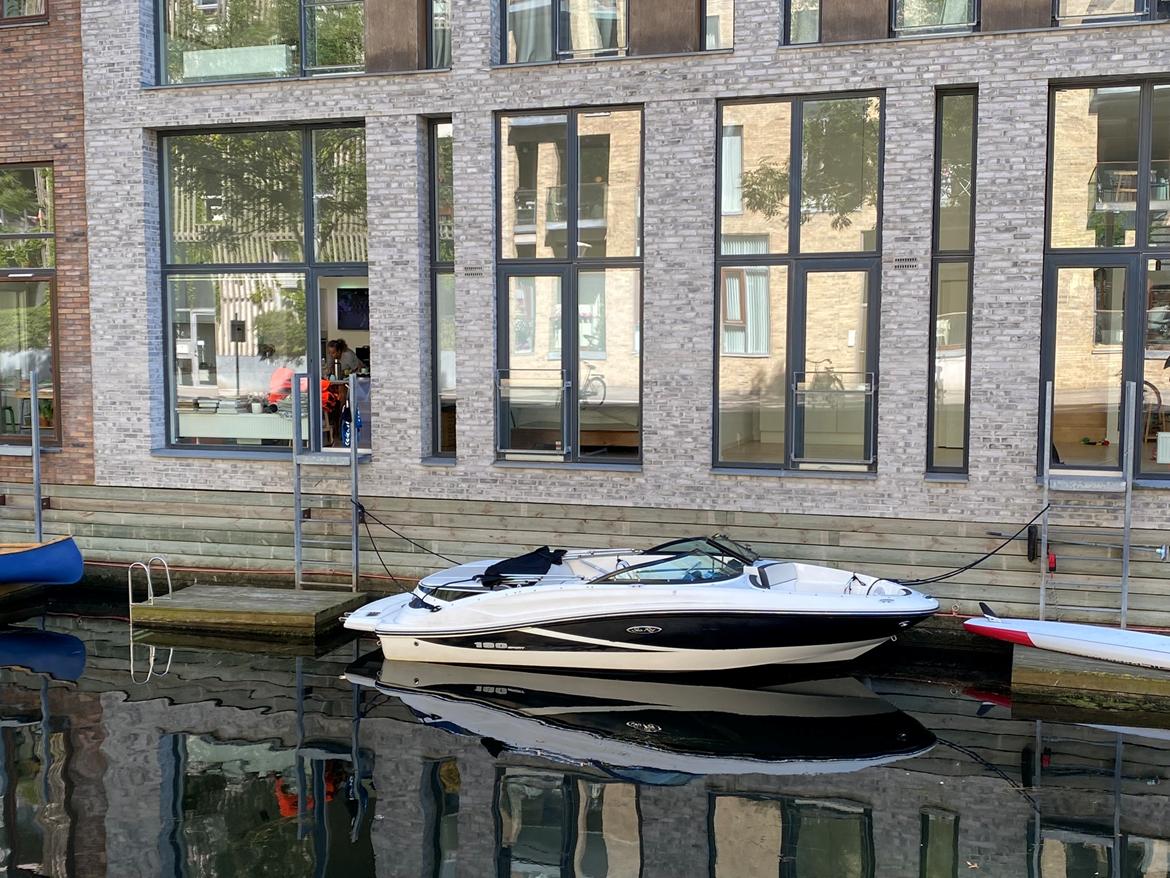 Sea Ray 190 Sport billede 1