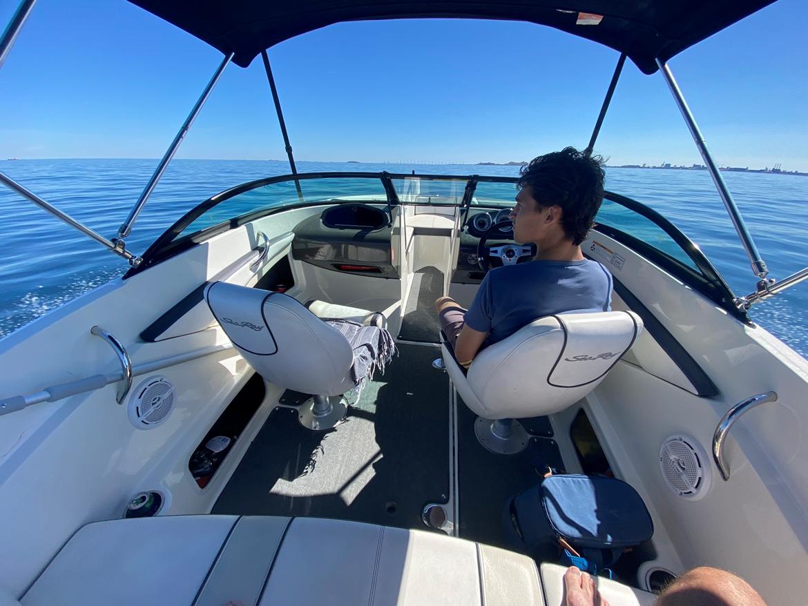 Sea Ray 190 Sport billede 6