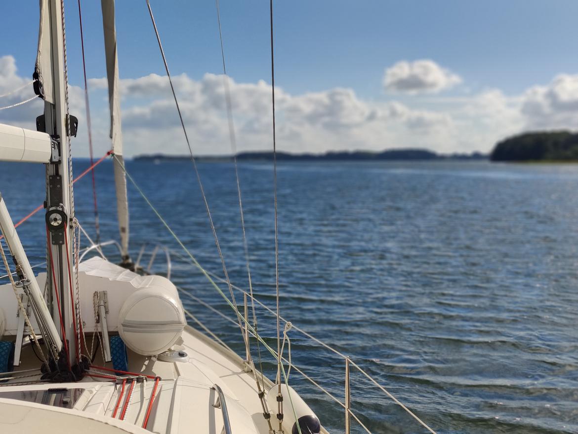 Elan Impression 384 billede 13