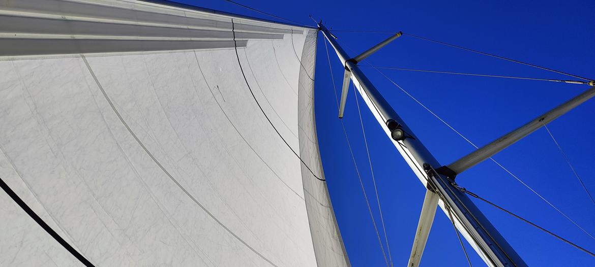 Elan Impression 384 billede 14