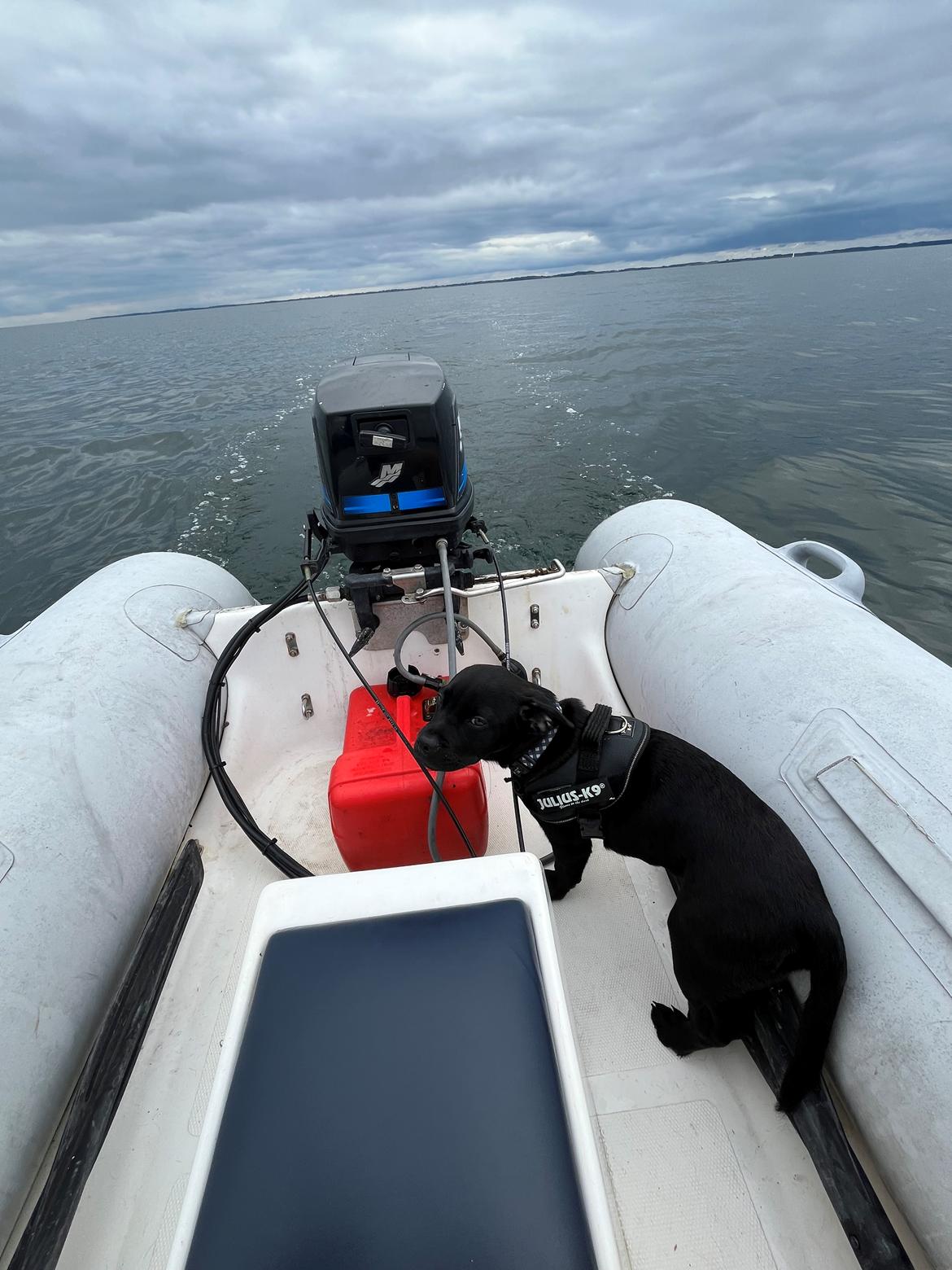 Rib Ab360 rib billede 1