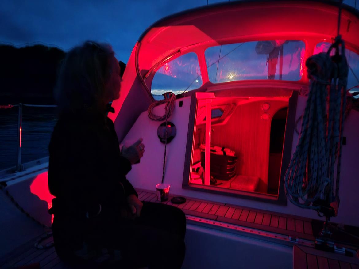 Impala 27 billede 33