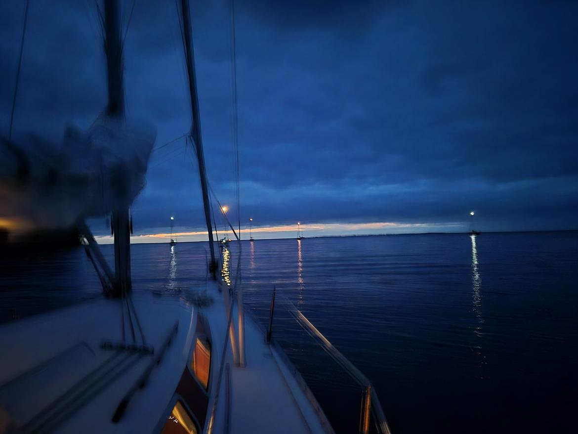 Impala 27 billede 34