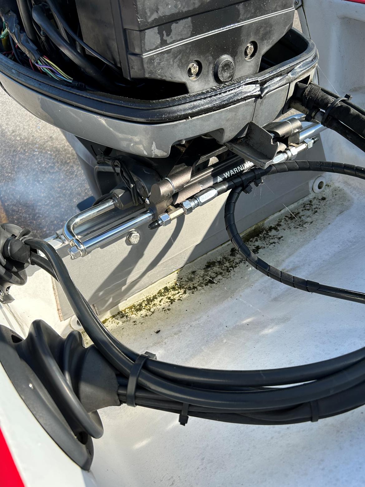 Fletcher 199 BRAVO billede 5