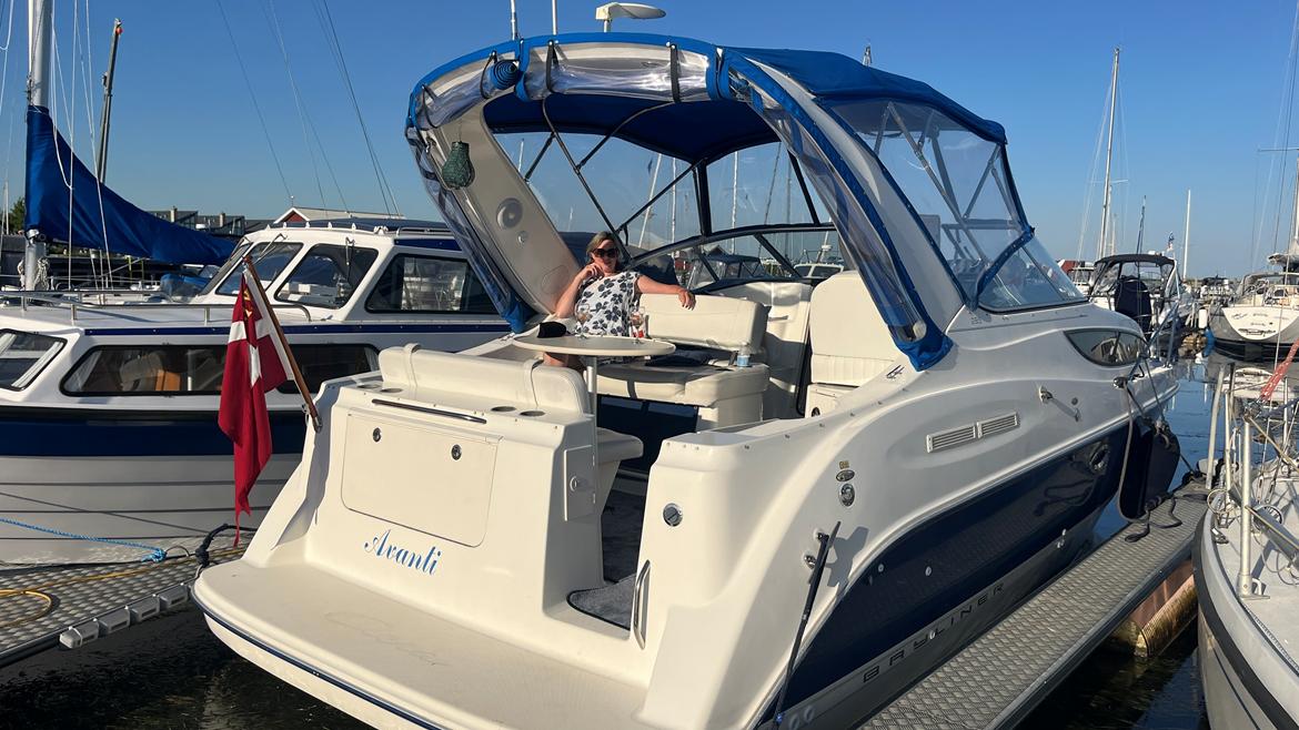 Bayliner 285 SB billede 3