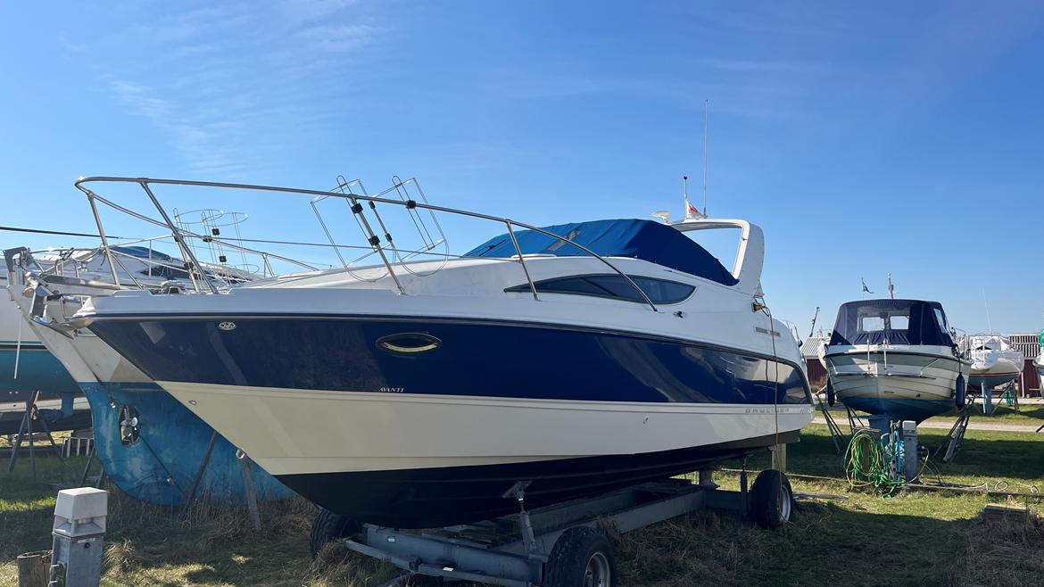 Bayliner 285 SB billede 1