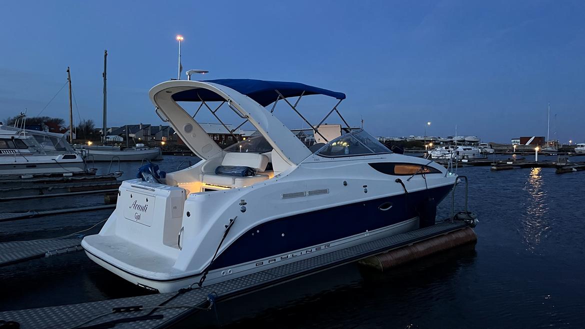 Bayliner 285 SB billede 4