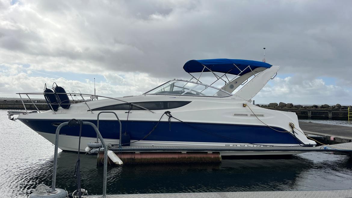 Bayliner 285 SB billede 5