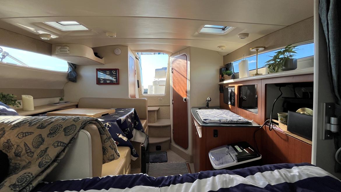 Bayliner 285 SB billede 6